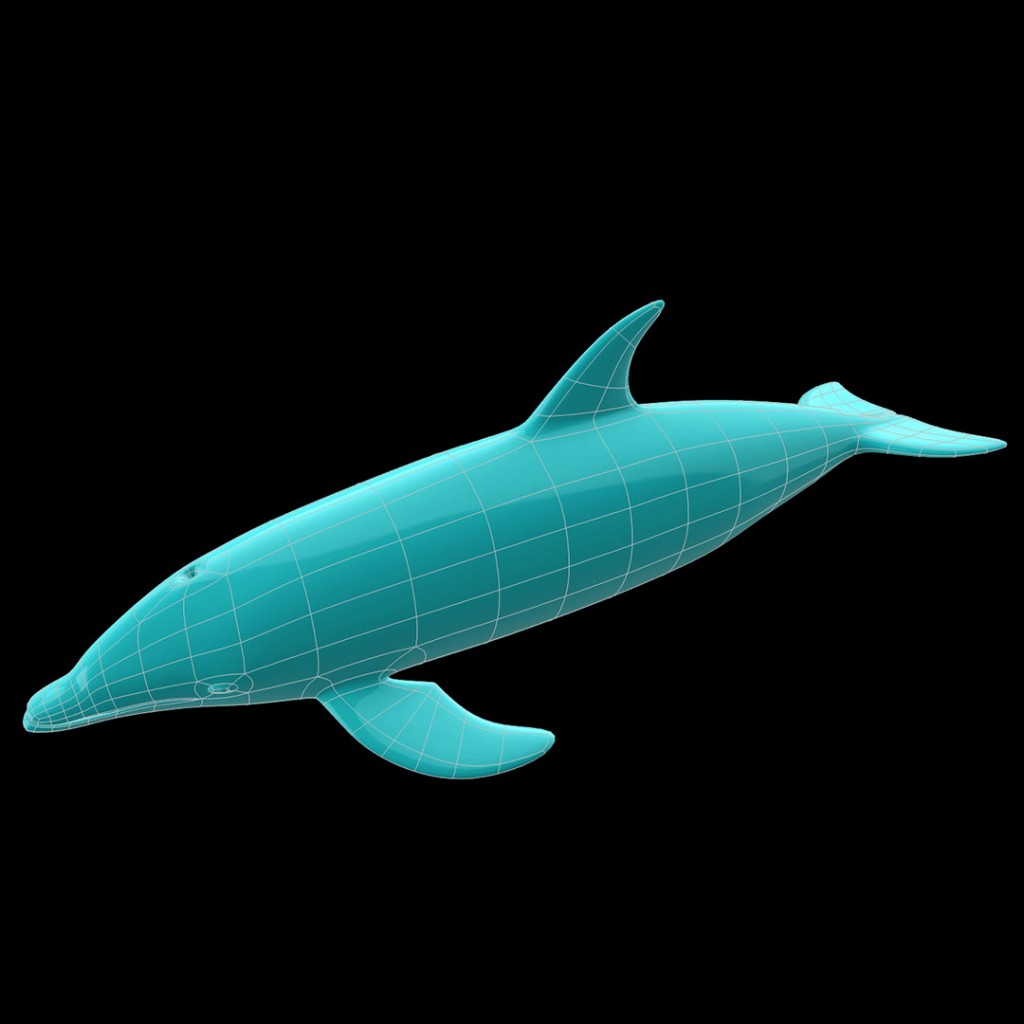 Bottlenose Dolphin preview image 4